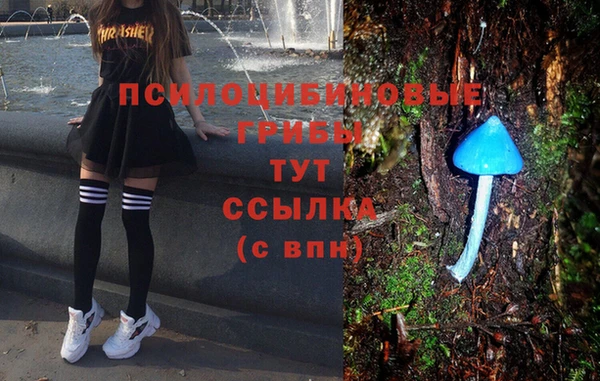 гашик Киреевск