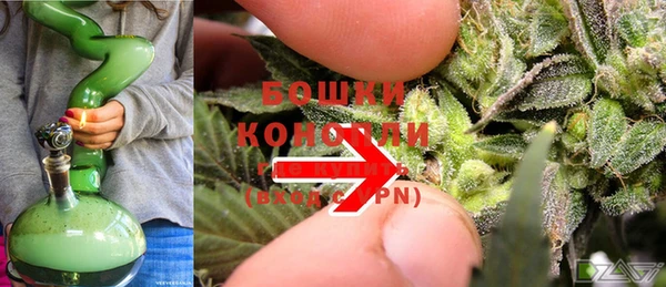 прущие крисы Киренск