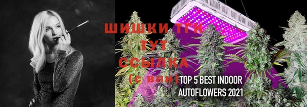 меф Кинешма